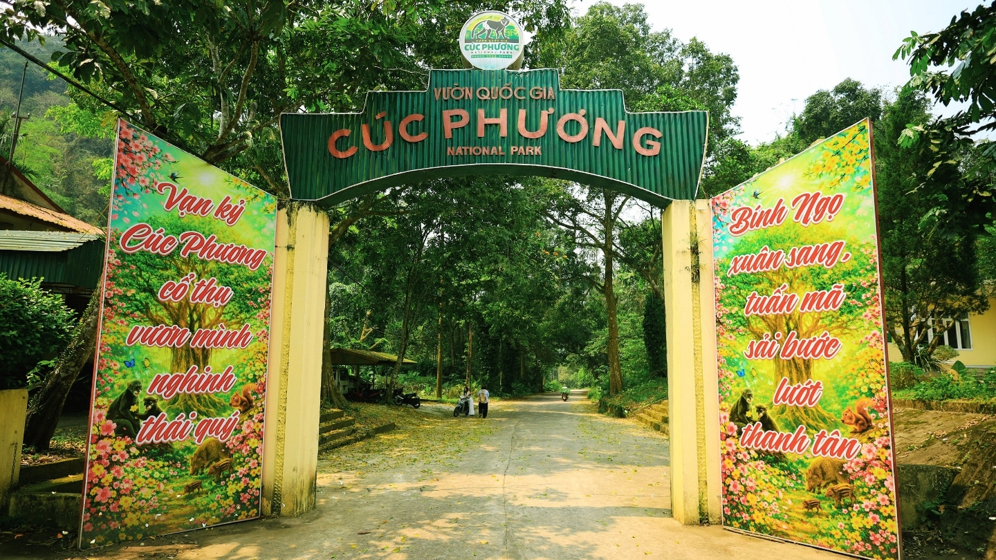Explorer la nature au parc de Cuc Phuong